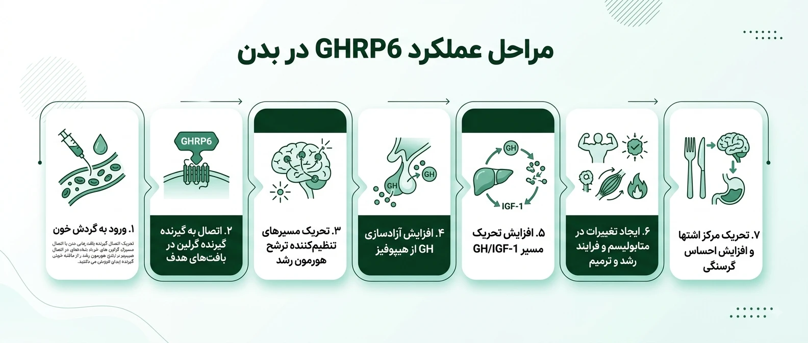 نحوه عملکرد GHRP‑6 در بدن