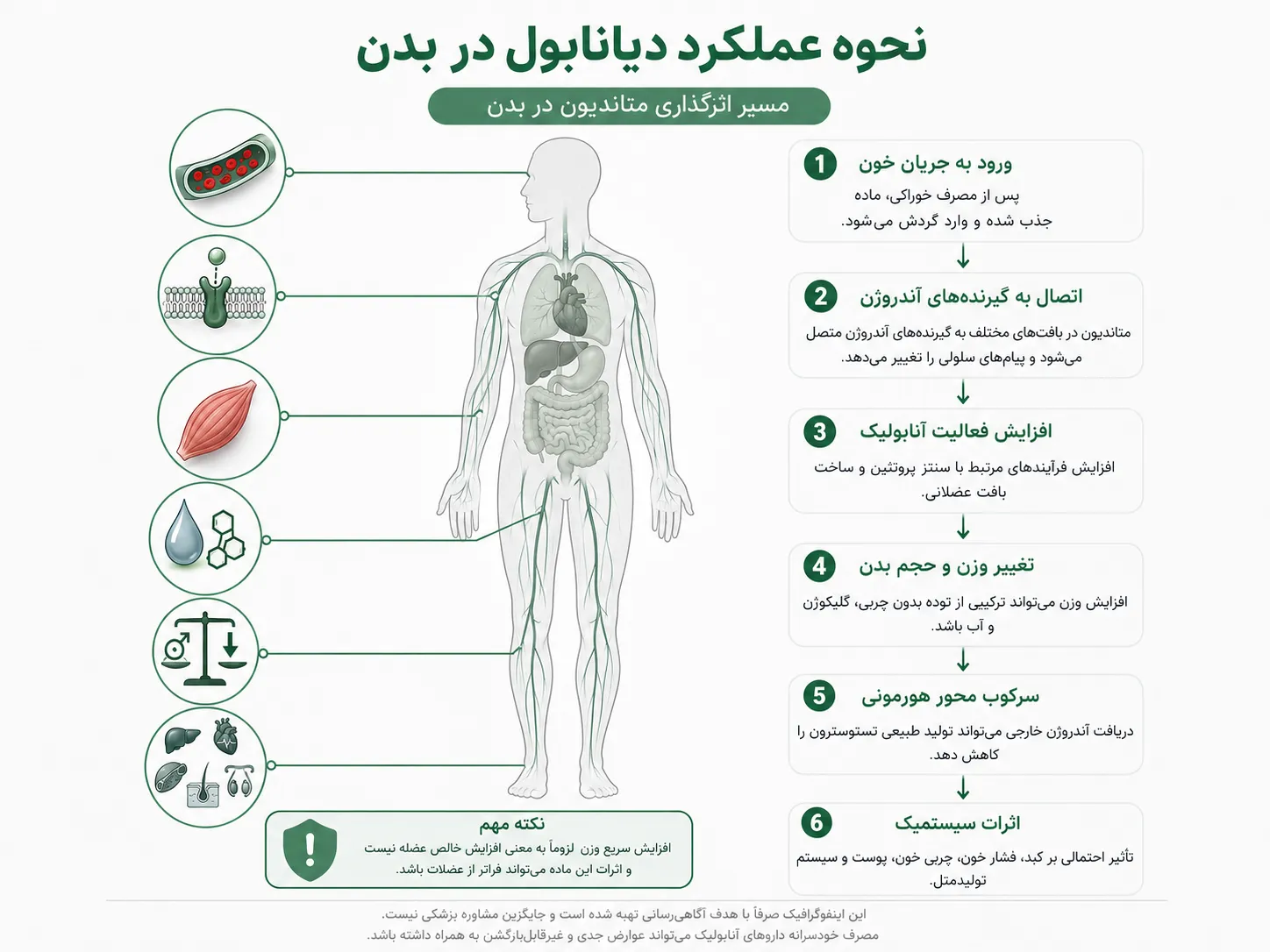 نحوه عملکرد دیانابول در بدن
